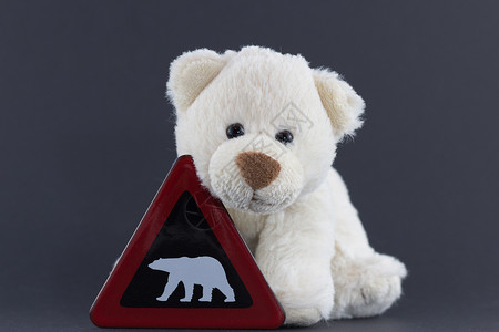 带警告信号的可爱北极熊熊熊背景图片
