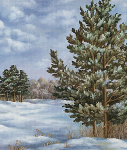 手绘松树油漆 冬季森林针叶气候枞树艺术品绘画天空植物群艺术手工植物背景
