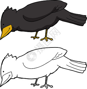 手绘乌鸦孤立的黑鸟背景