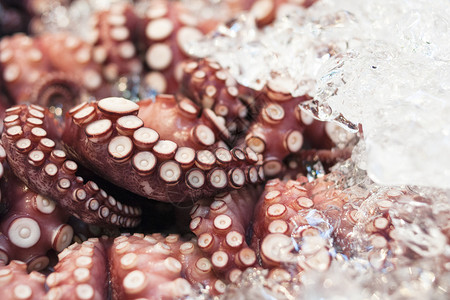 原章鱼食物红色市场触手海鲜背景图片