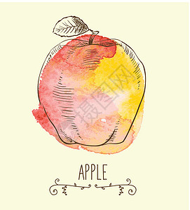 苹果型身材新的有益生态友好型苹果墨水插图饮食食物艺术品卡通片收成农业艺术水果插画