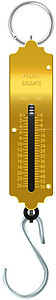 账户结余戒指金属白色口袋乐器余额测量工具黄铜重量插画