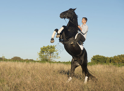 骑马男人男生骑术马术训练运动动物宠物青少年背景图片