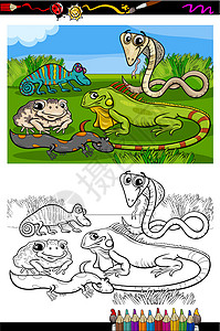 爬行动物和两栖染色书高清图片