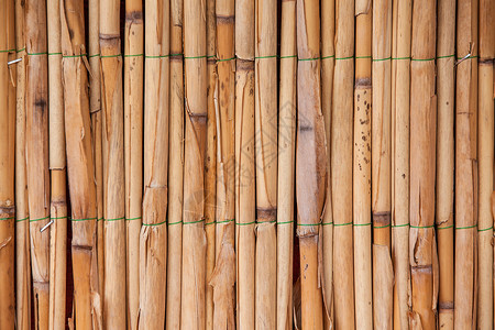 纹竹子的素材以日本竹纹为背景背景