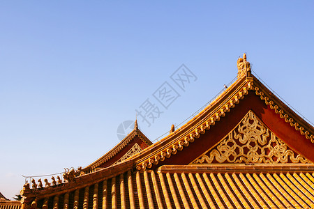 紫禁城文化生物贵族红色栏杆木头雕塑黄色天空培养背景图片