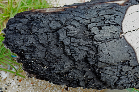 松树炭力量煤矿煤球燃烧煤炭燃料材料活力财富化石背景图片