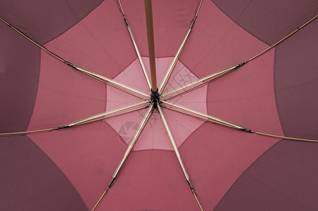 伞式保护的背景背景图片