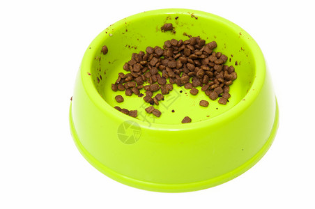 猫食食品圆形食物盘子白色饮食小吃棕色营养背景图片