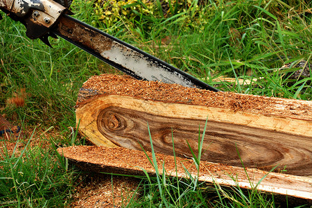 工业应用中使用的锯木厂修剪技术日志木头机械木材机器背景图片