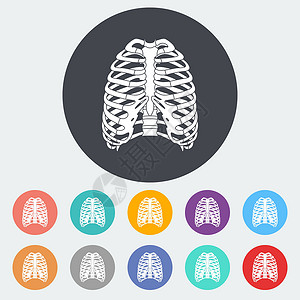 胸部图标人类胸腔的图标保健胸部生物学解剖学疼痛医疗胸骨科学脊柱插图设计图片