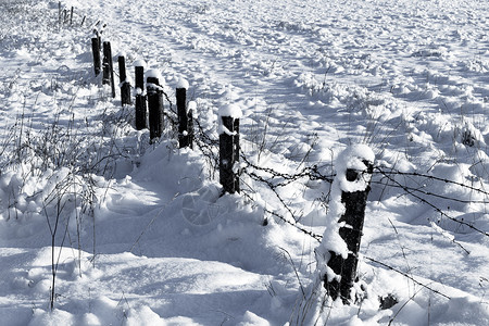 古拉格带雪雪的刺铁丝栅栏倒钩铁丝网金属薄雾照片天气乡村蓝色天空场地背景