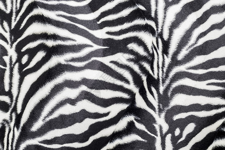 纹质材料动物丛林白色照片野生动物装饰风格黑色皮肤背景图片