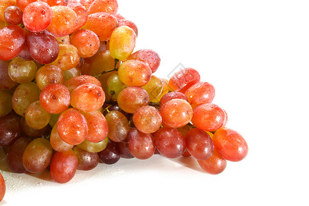 在白色背景中被孤立的红色葡萄生长栽培甜点食物维生素藤蔓植物膳食水果紫色背景图片