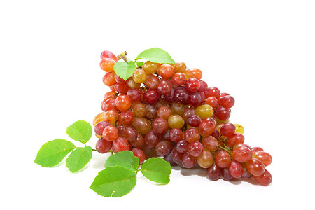 在白色背景中被孤立的红色葡萄栽培紫色生长植物果汁叶子水果维生素藤蔓食物背景图片