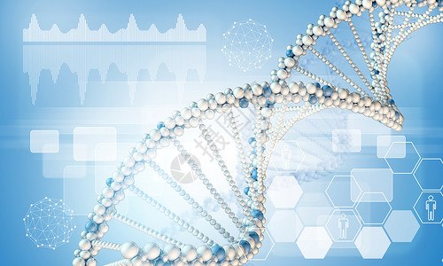 DNA模型白色蜂窝长方形螺旋图表六边形背景图片