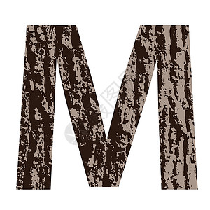 剥了皮板栗用橡树皮制成的字母M设计图片
