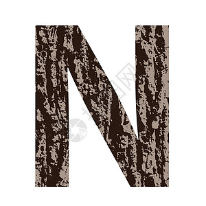 剥了皮板栗用橡树皮制成的字母N设计图片
