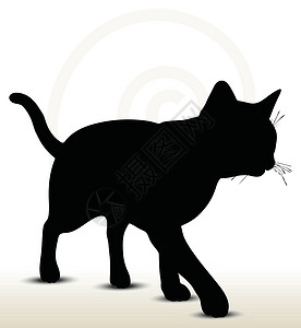 较场尾猫尾图插图爪子拳击模版小猫跳跃猫咪计算机剪影睡眠姿势插画