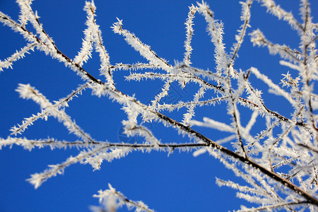 东风wwandland滑雪天空风景太阳气候景观季节背景图片