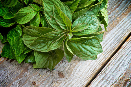 柠檬光纹理饮食植物学草药草本植物生食植物横截面叶子香料背景图片