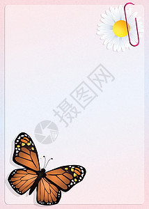 君主蝴蝶翅膀昆虫天线雏菊条纹橙子插图飞行黄色背景图片