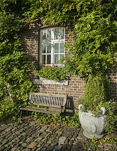 长墙上绿色植物的旧农场窗纱植物乡村木头石头桌布花朵屏门花瓶浴缸背景图片