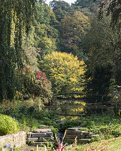秋天公园池塘和池塘背景图片