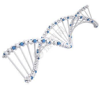 白色DNA链条说明螺旋染色体插图蓝色背景图片