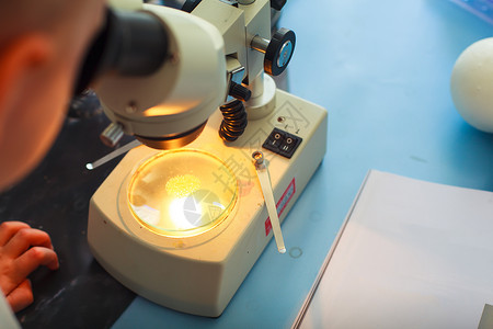 显微镜技术化学教育实验室乐器生物宏观微生物学镜片药品背景图片