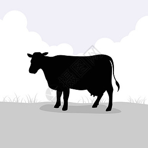 雌性动物牛休插画