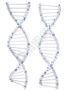 白色DNA链条说明染色体螺旋蓝色插图背景图片