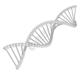 关于有线框架DNA链的说明染色体螺旋插图背景图片
