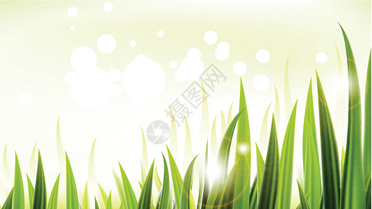 绿草病媒设计生活季节网络叶子植物群植物草地植物学刀刃反射背景图片