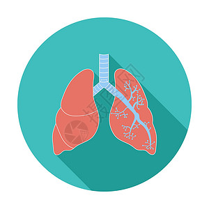 细嗅黑白肺医疗支气管生物学身体呼吸手术福利气管解剖学外科插画