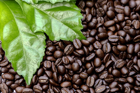 烤咖啡豆咖啡背景酿造休闲咖啡馆咖啡公司时间早餐茶几火锅背景图片
