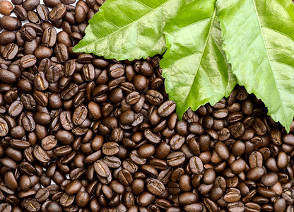 烤咖啡豆咖啡公司咖啡馆咖啡休闲早餐咖啡厂烘烤时间火锅酿造背景图片