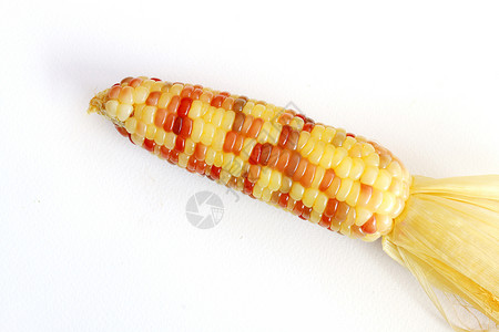 玉米玉米种子粮食小麦农业黄色橙子红色棕色蔬菜食物背景图片