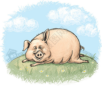 猪你幸福嬉皮猪插画