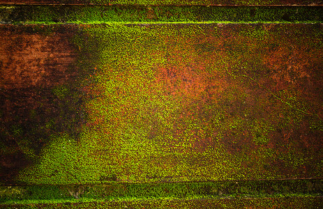 红墙上的木头和苔乡村苔藓材料地衣森林藤蔓松树摄影皮肤宏观背景图片