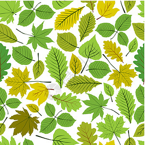 美丽的树叶 无缝的图案 自然的矢量 无止尽的背面森林叶子花园季节性剪影插图植物植物群季节装饰品插画