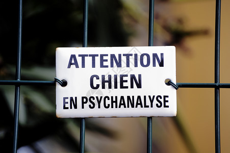 警告 狗在心理分析中平板社会白色牌匾动物精神痴呆医疗治疗治疗师背景图片