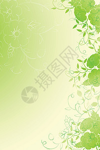 花卉背景插图滚动叶子漩涡植物背景图片