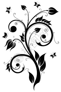 花粉设计元素 矢量插图模版黑色蝴蝶植物艺术滚动漩涡叶子背景图片