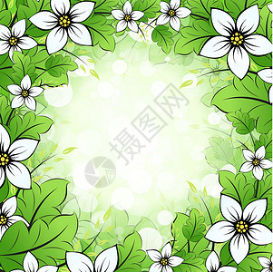 Floral 纤维化曲线滚动框架绿色插图标语卷曲叶子植物背景图片