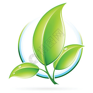 太经合组织经合组织图标生活植物青年环境回收白色绿色标识生长发芽插画