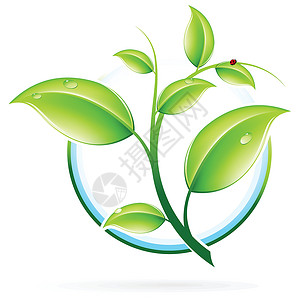 太经合组织经合组织图标标识生活生物植物发芽绿色空白白色环境生长插画