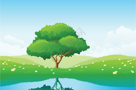 萨加根湖孤独的树土地草地风景蓝色乡村洋甘菊天空叶子植物场地插画