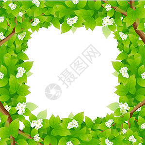 留下一个消息区域隔断框架插图树干绿色背景图片