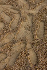 沙沙中的脚印印刷前锋背景图片